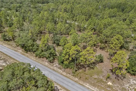 SW 134 Terrace Dunnellon FL 34431