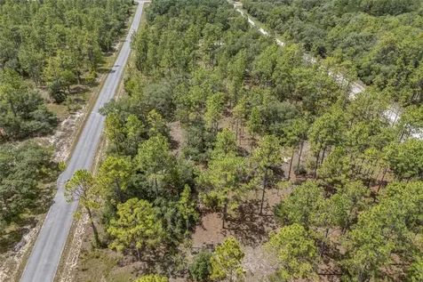 SW 134 Terrace Dunnellon FL 34431