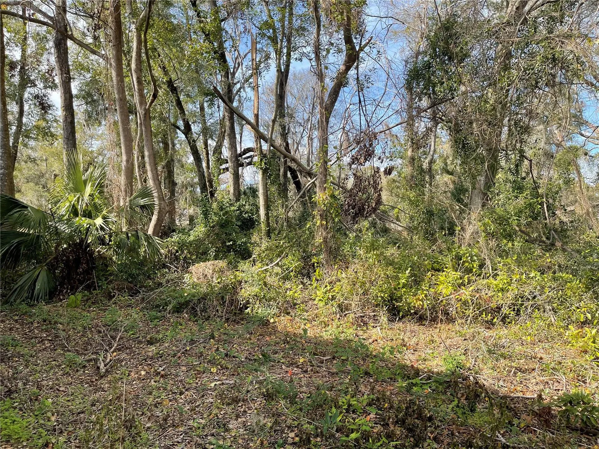 Lot 1 NW 135th Terrace Alachua FL 32615