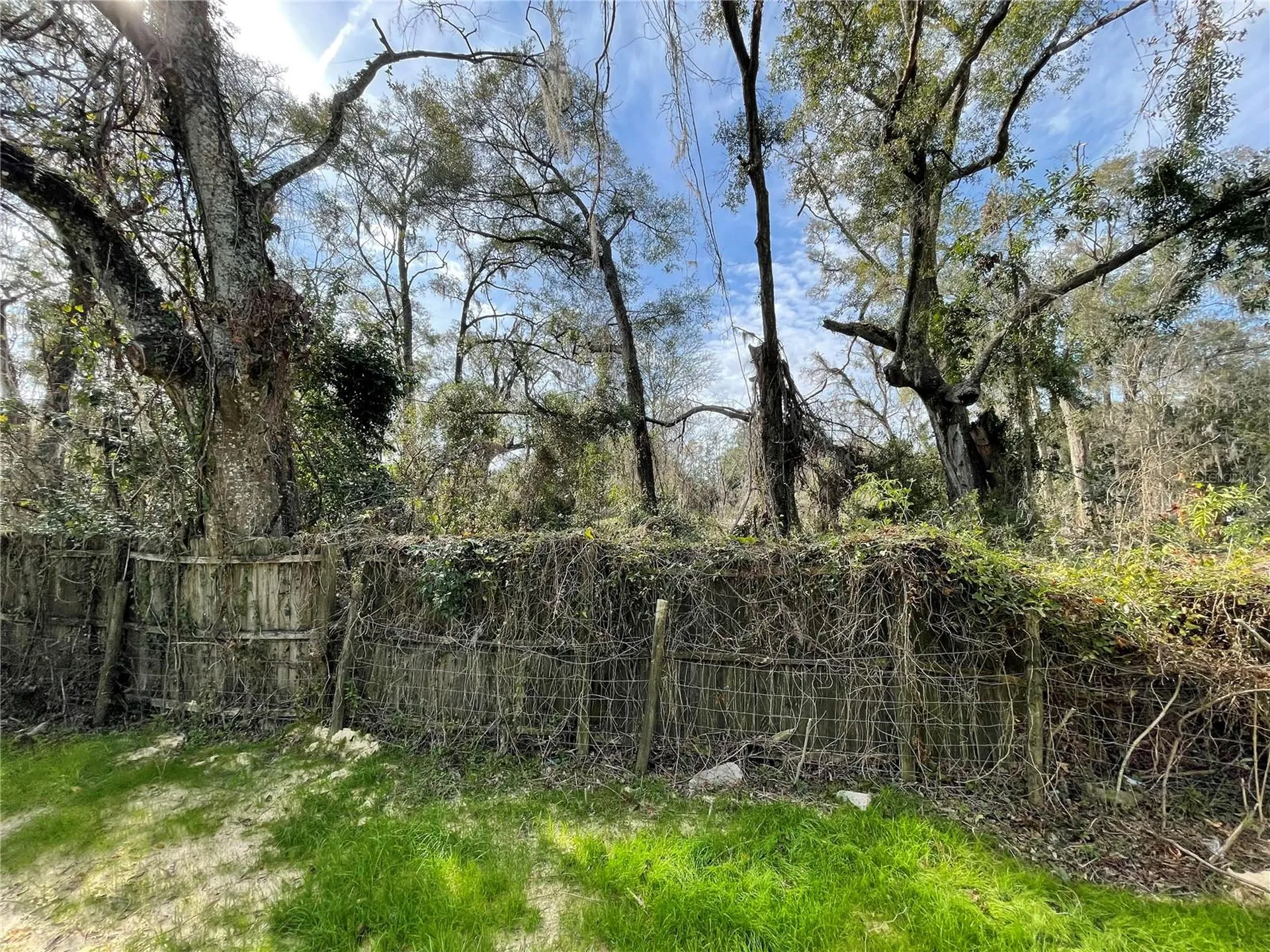 Lot 1 NW 135th Terrace Alachua FL 32615