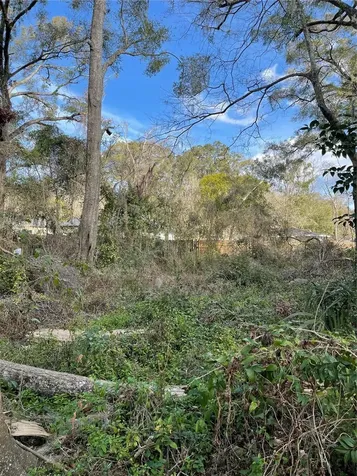 Lot 1 NW 135th Terrace Alachua FL 32615
