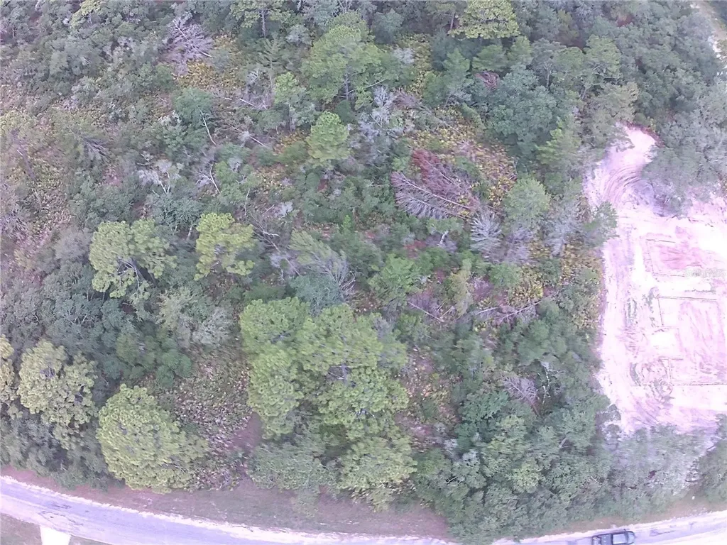 E Cashew Court Eustis FL 32736