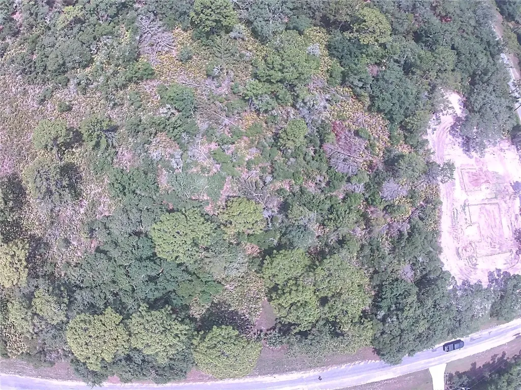 E Cashew Court Eustis FL 32736