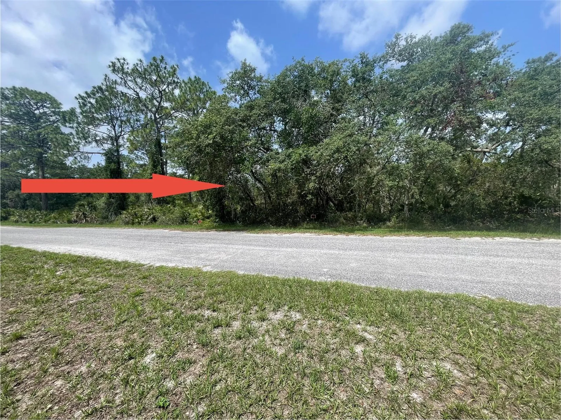E Cashew Court Eustis FL 32736