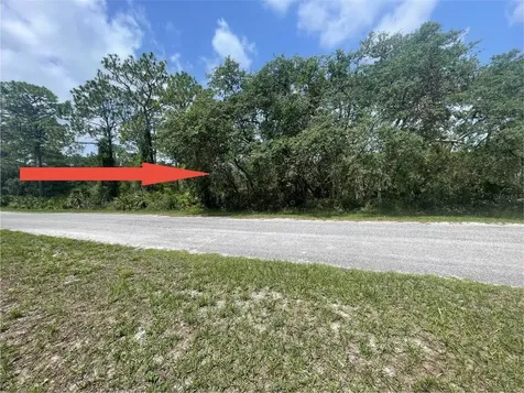 E Cashew Court Eustis FL 32736