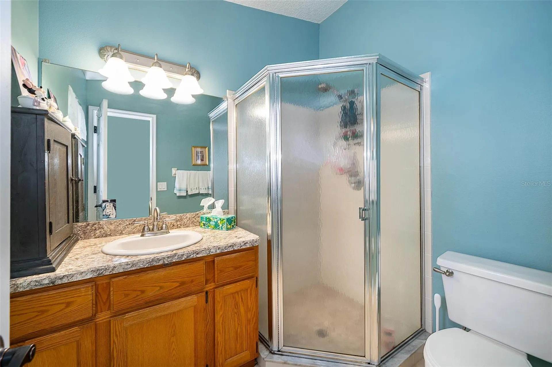 39939 Parkinsonia Street Lady Lake FL 32159