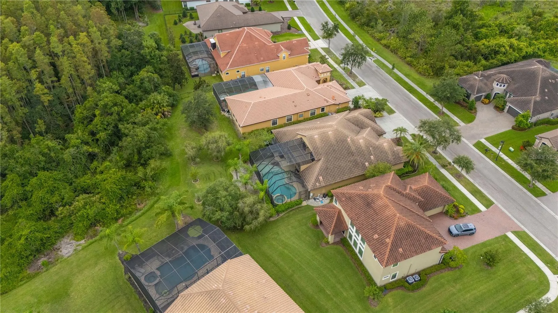 20023 Pergola Bend Lane Tampa FL 33647