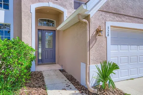 528 Herring Gull Court Ocoee FL 34761