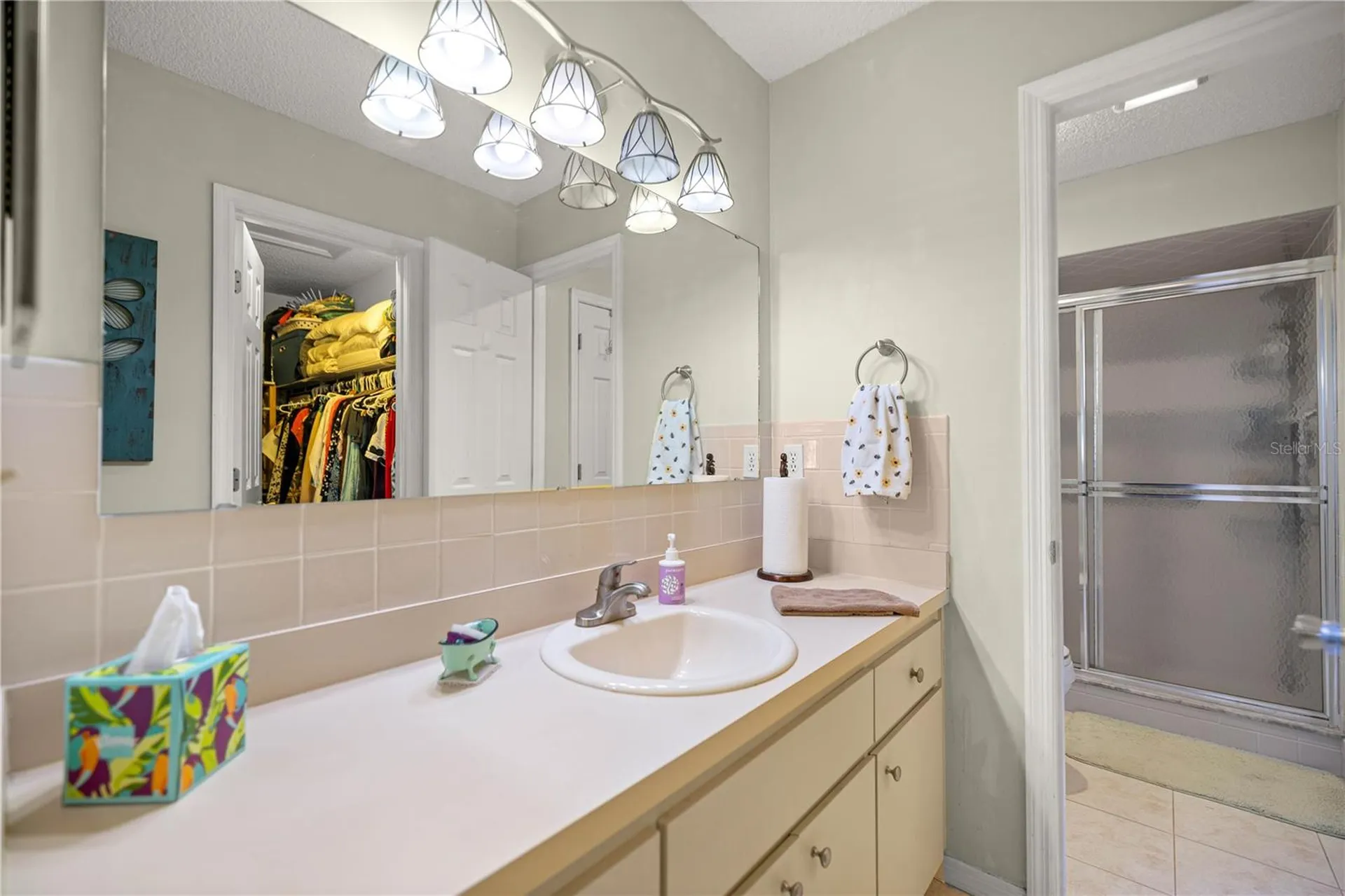 17533 SE 96th Court Summerfield FL 34491