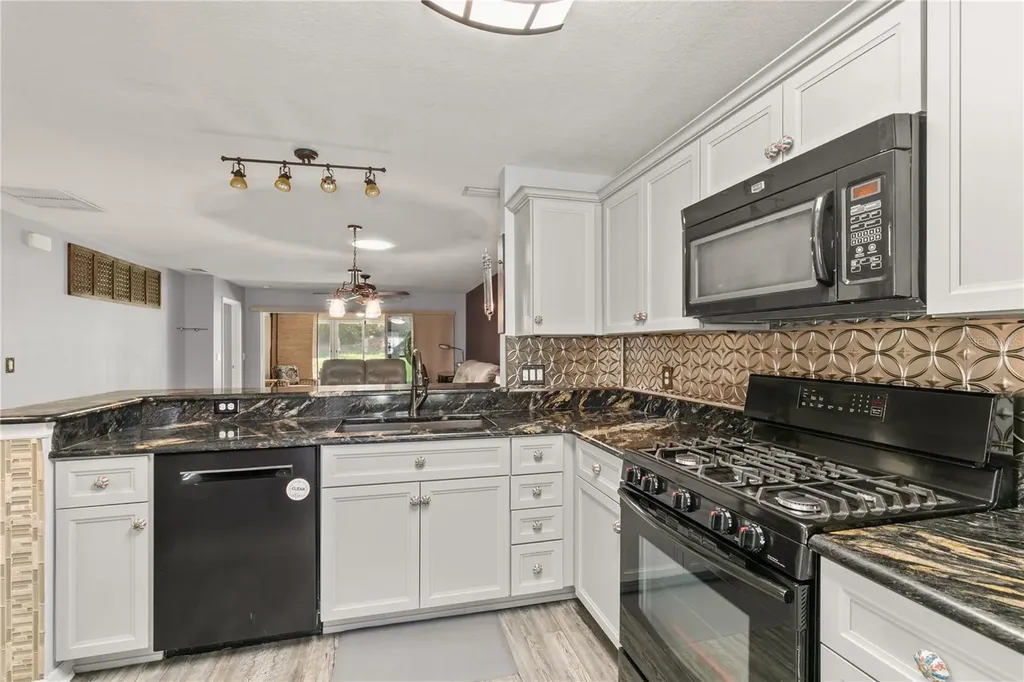 26917 White Plains Way Leesburg FL 34748