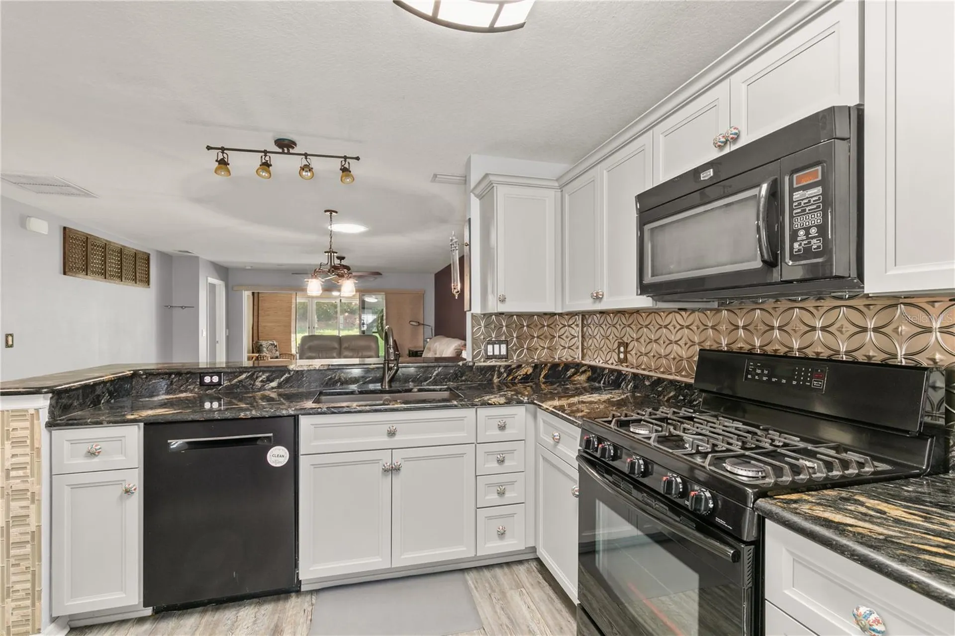 26917 White Plains Way Leesburg FL 34748