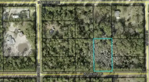 5414 Mulberry Lane Bunnell FL 32110