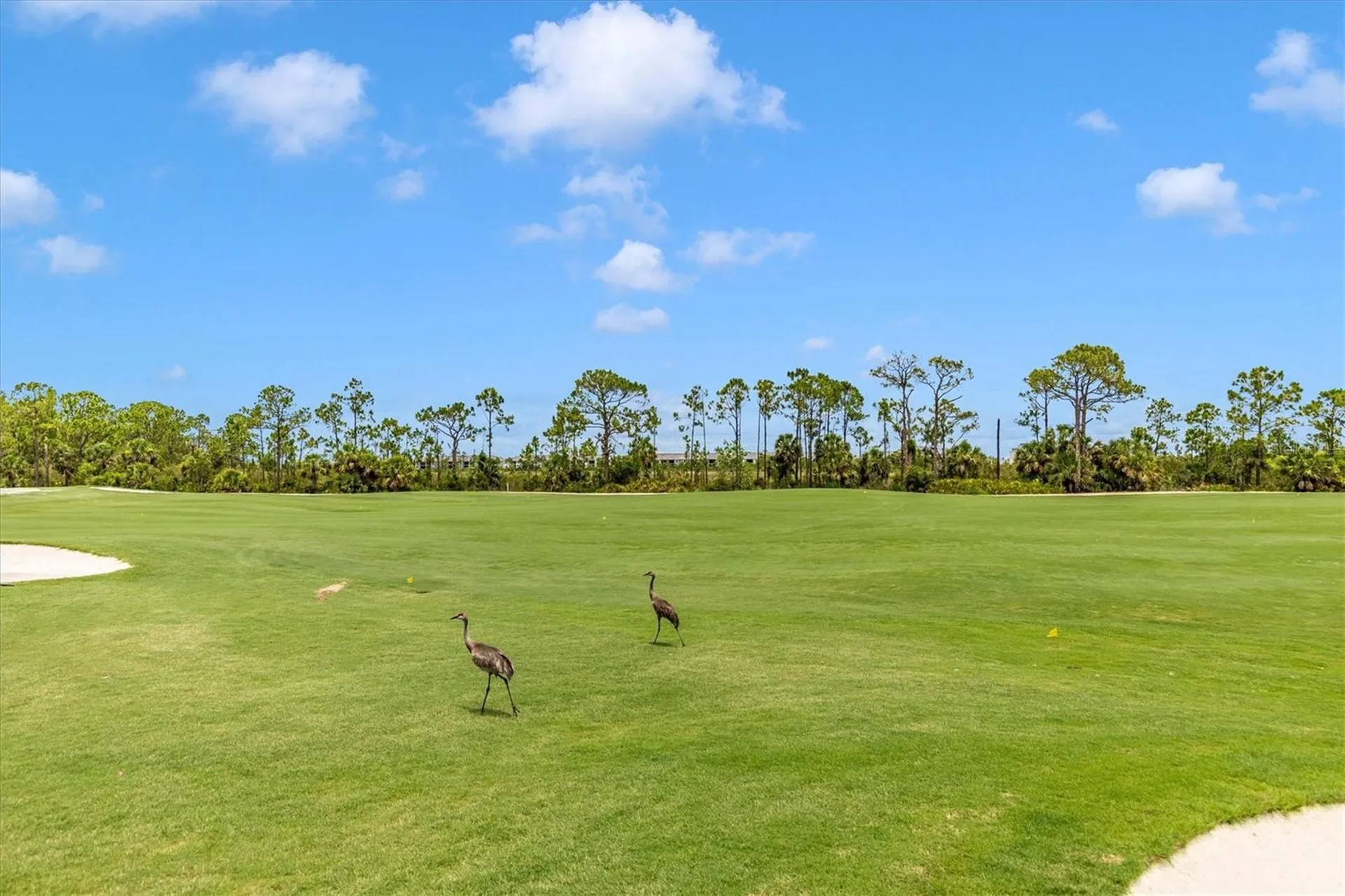 12280 Wellen Golf Street Venice FL 34293
