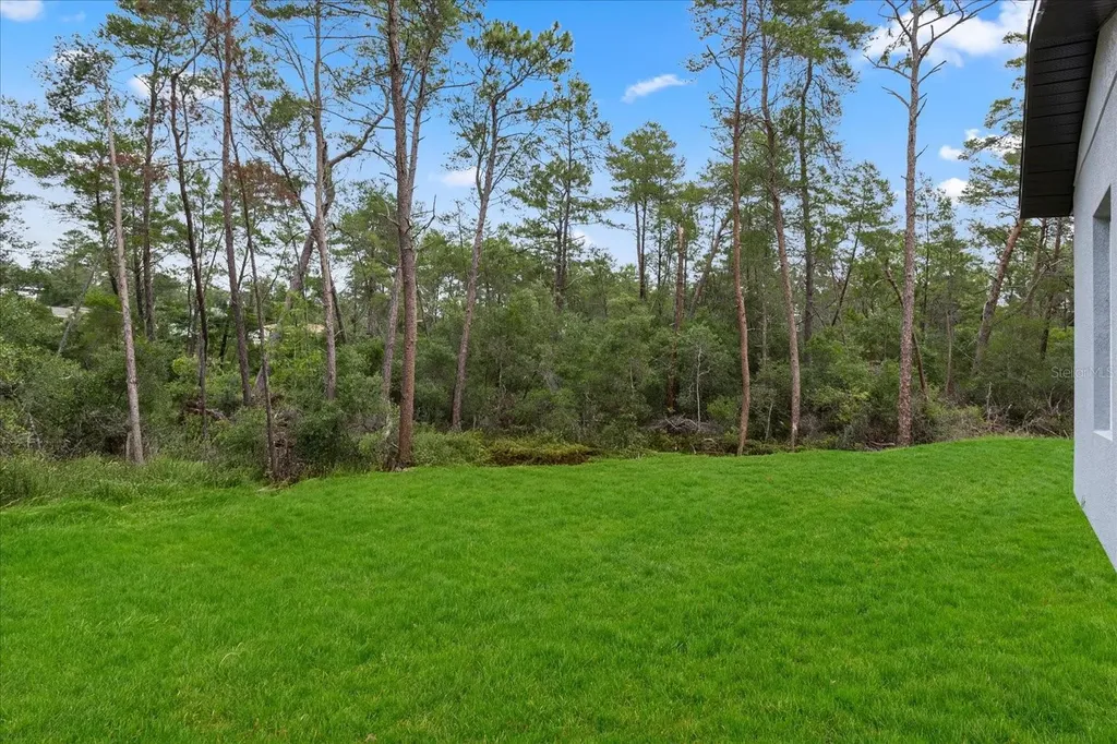17397 SW 41st Circle Ocala FL 34473