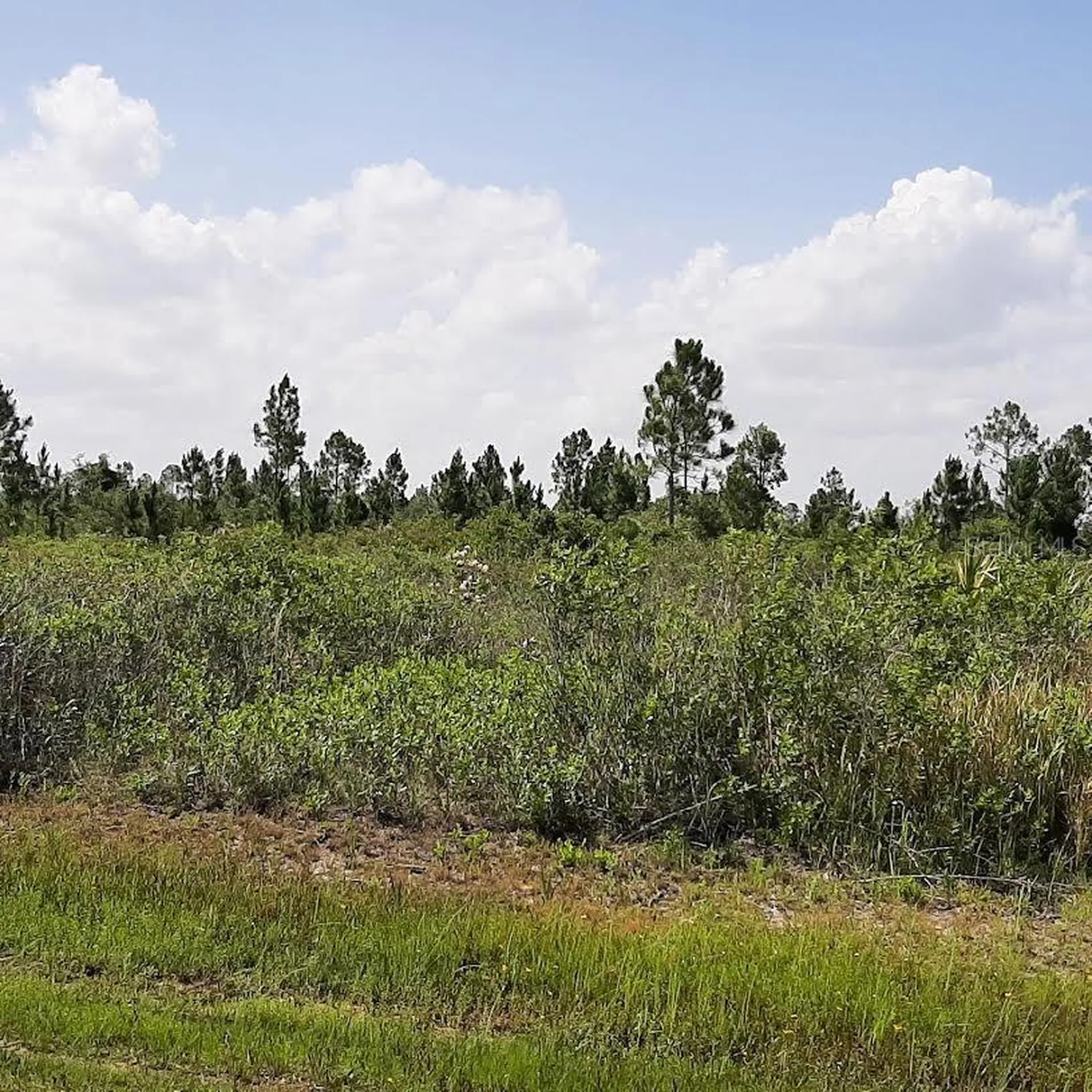 412 Calendula Drive Indian Lake Estates FL 33855