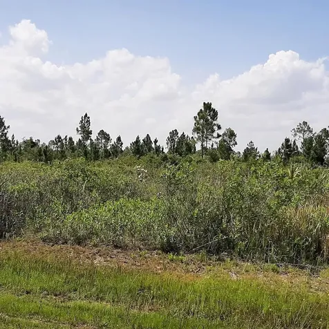 412 Calendula Drive Indian Lake Estates FL 33855