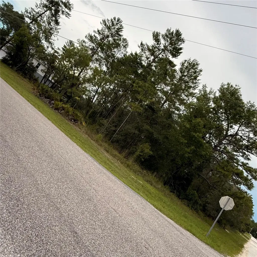 11200 Marvelwood Road Weeki Wachee FL 34614