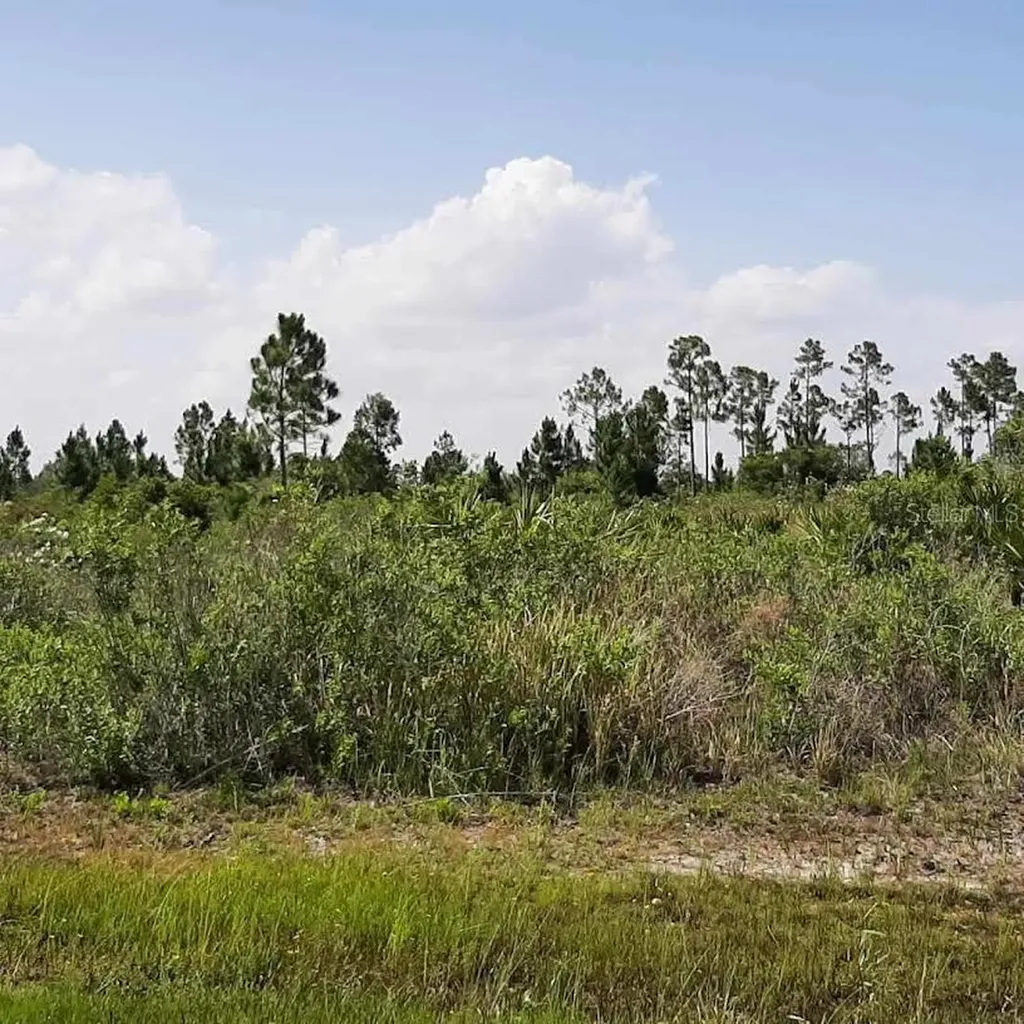 414 Calendula Drive Indian Lake Estates FL 33855