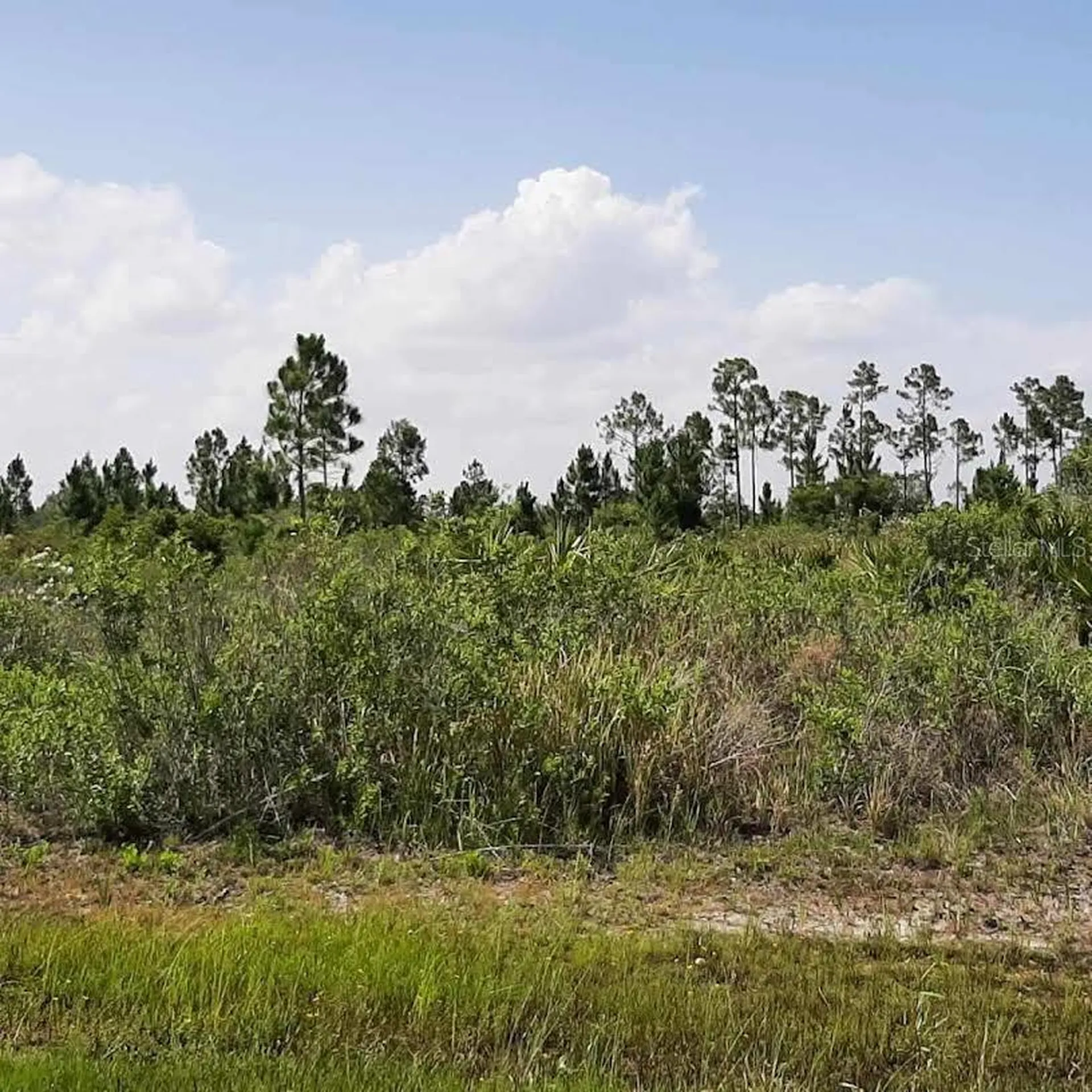 414 Calendula Drive Indian Lake Estates FL 33855