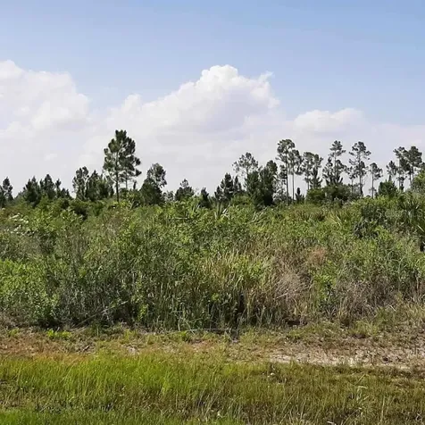 414 Calendula Drive Indian Lake Estates FL 33855
