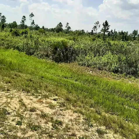 414 Calendula Drive Indian Lake Estates FL 33855