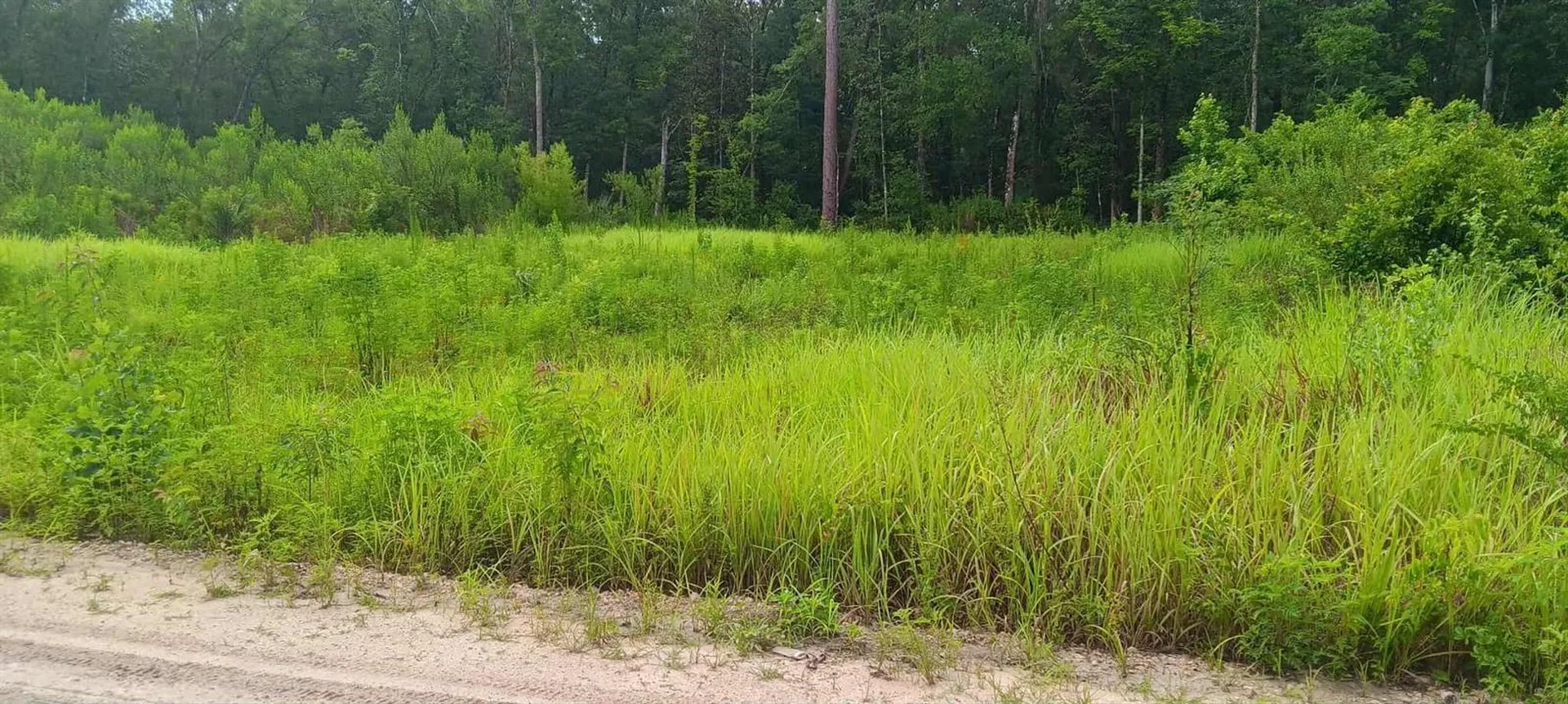 13230 SW 18th Street Road Ocala FL 34481