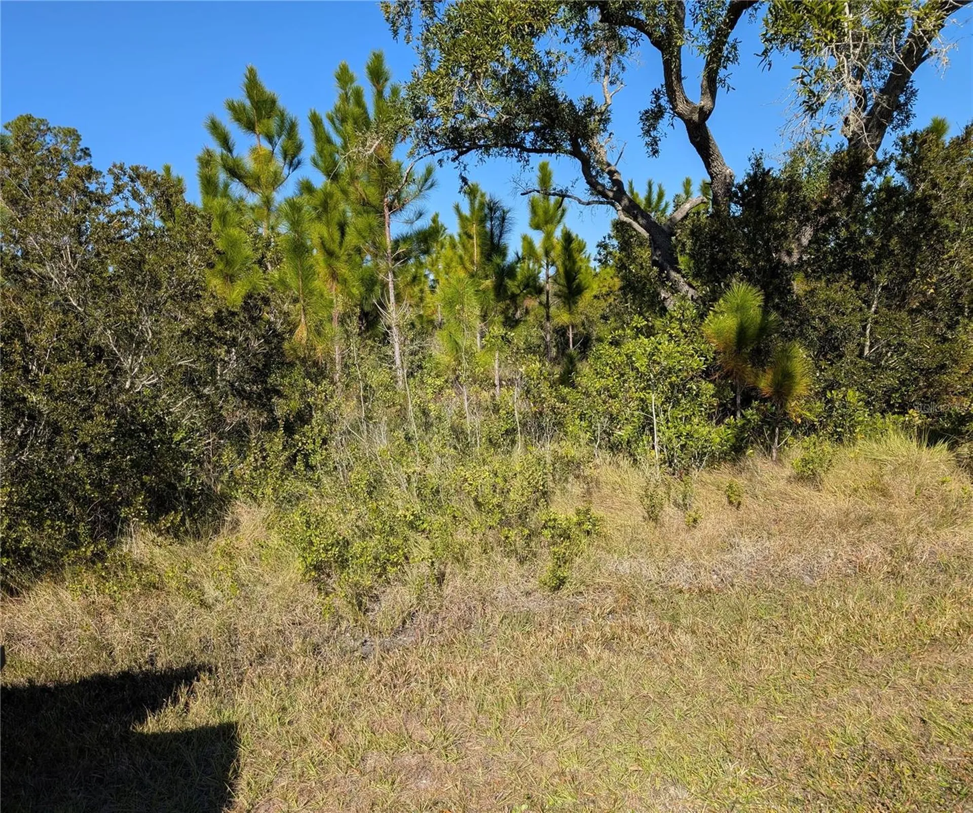 0 Tropicana Drive Indian Lake Estates FL 33855
