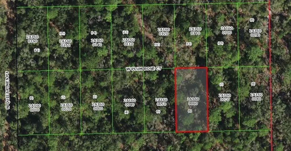 9782 W Plum Rose Court Crystal River FL 34429