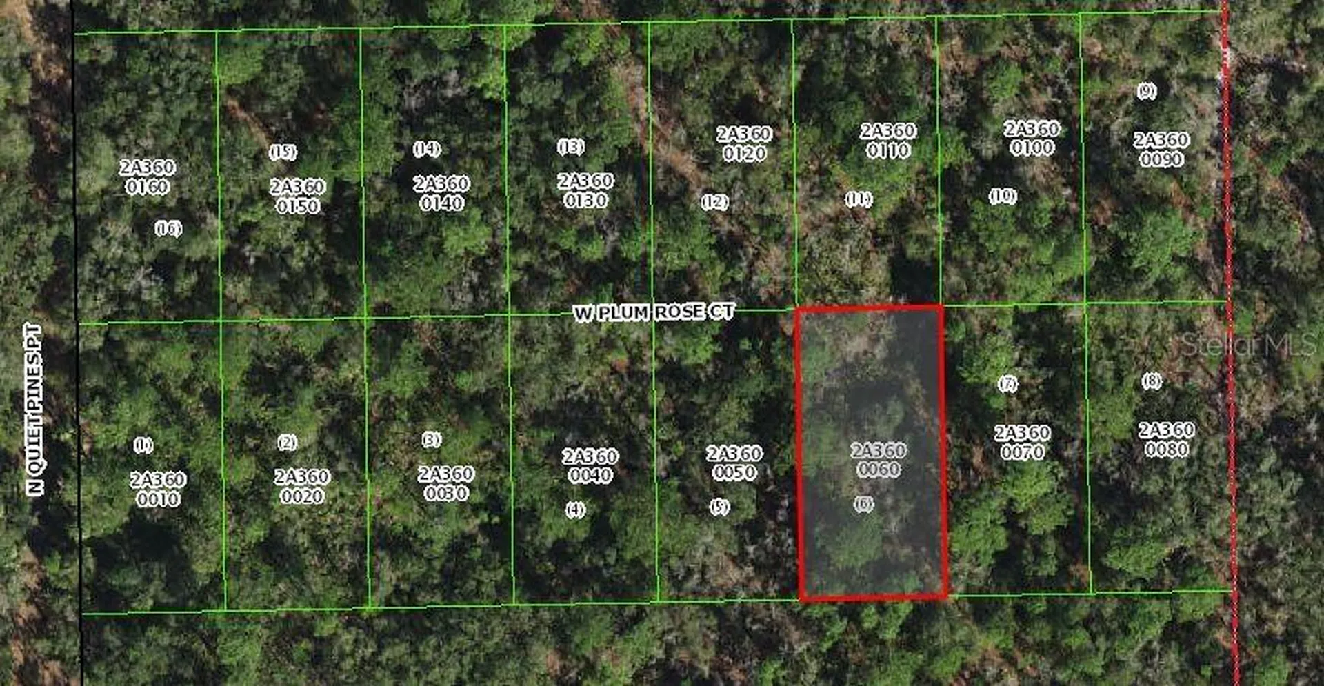 9782 W Plum Rose Court Crystal River FL 34429