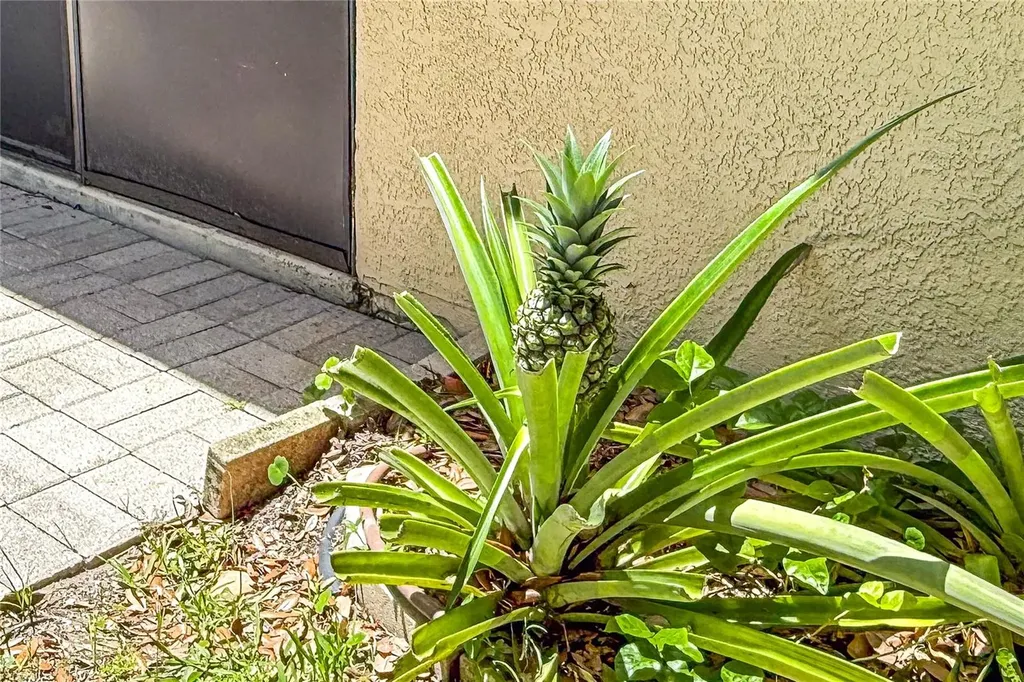 3311 39th Place W Bradenton FL 34205