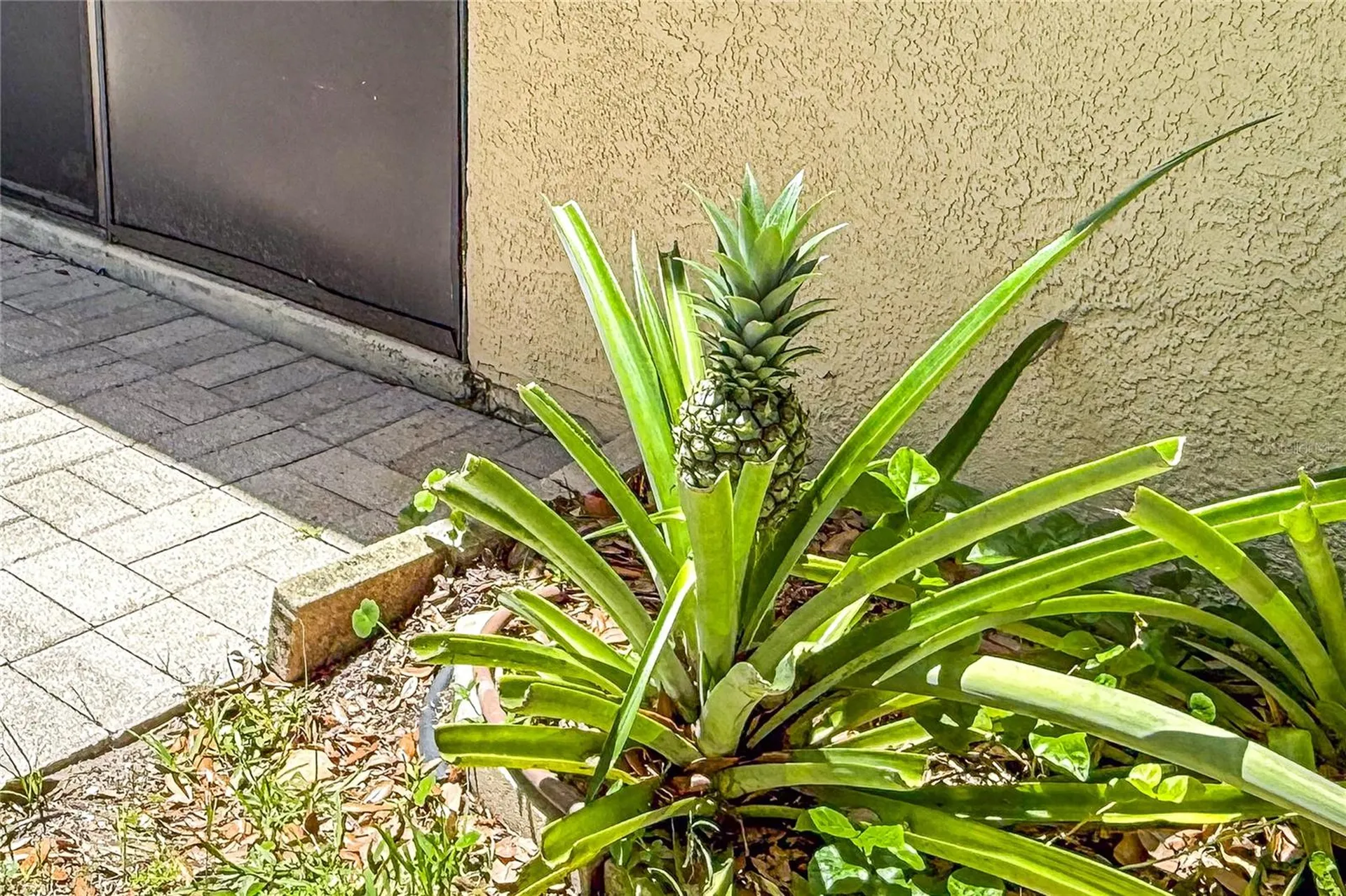 3311 39th Place W Bradenton FL 34205