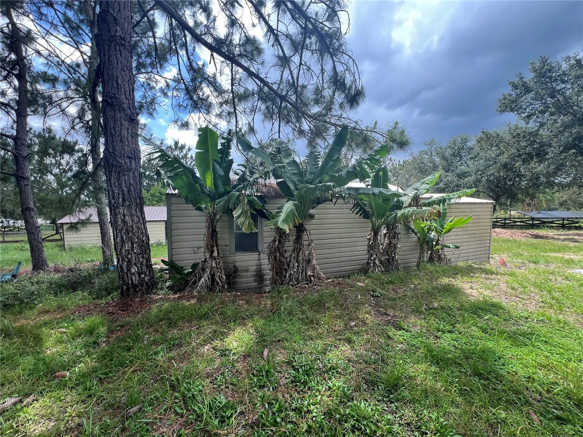 11344 Lake Montgomery Boulevard Clermont FL 34715