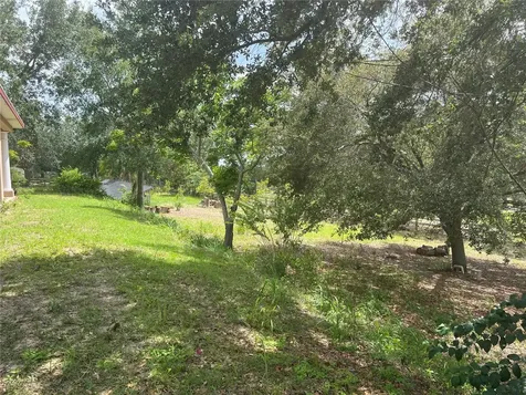 11344 Lake Montgomery Boulevard Clermont FL 34715