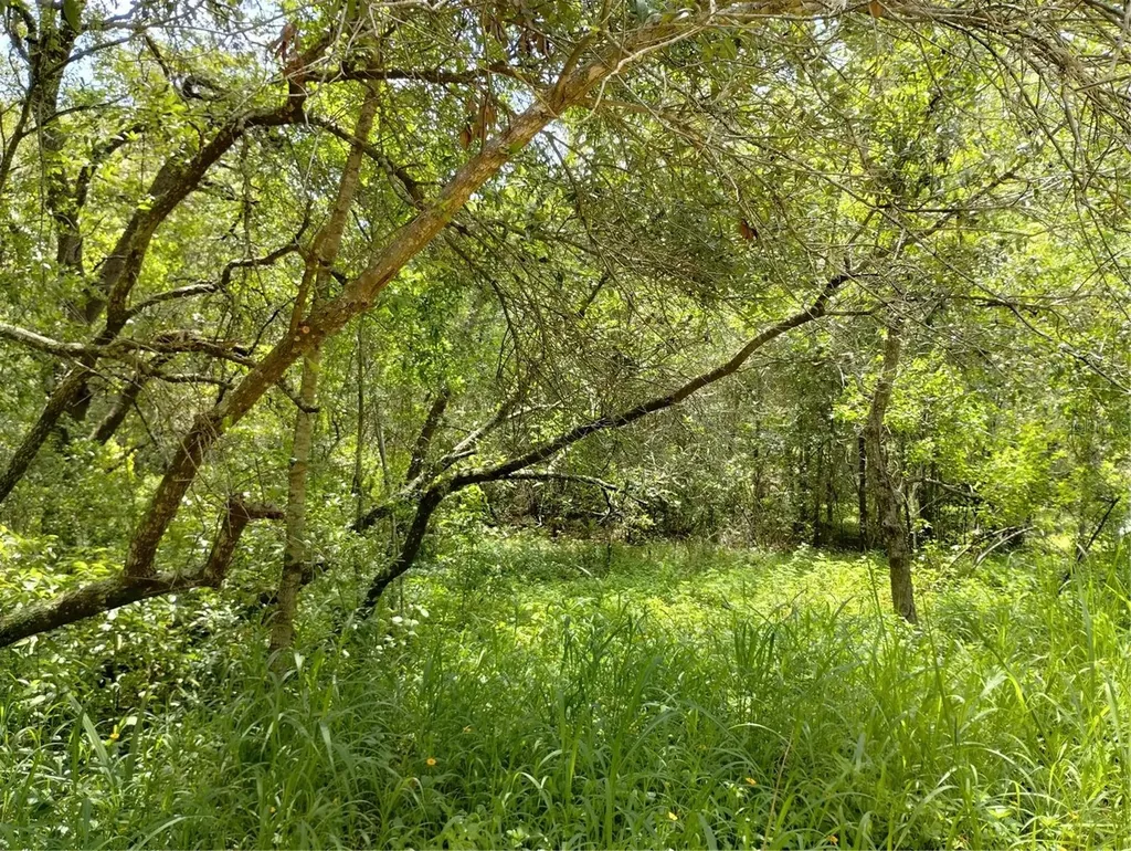 Dogwood Way Lady Lake FL 32159