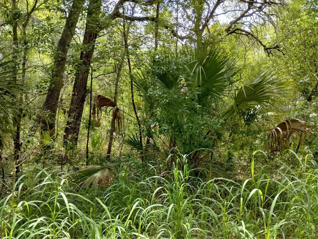 Dogwood Way Lady Lake FL 32159