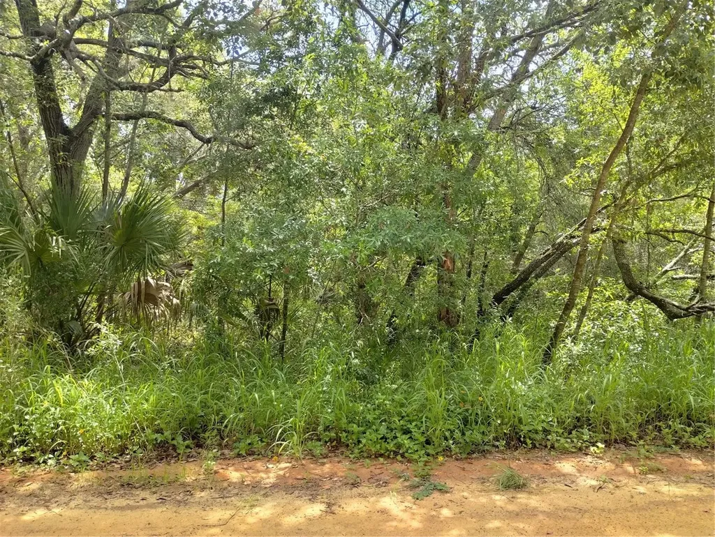 Dogwood Way Lady Lake FL 32159