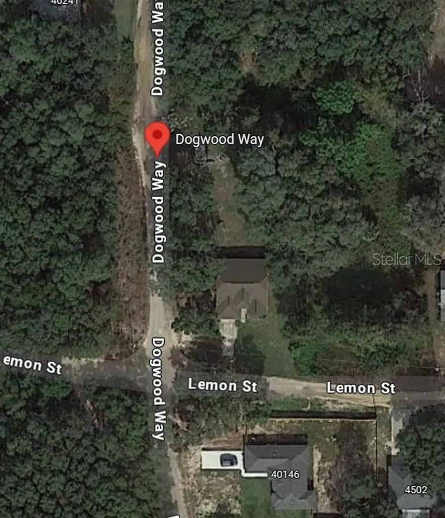 Dogwood Way Lady Lake FL 32159