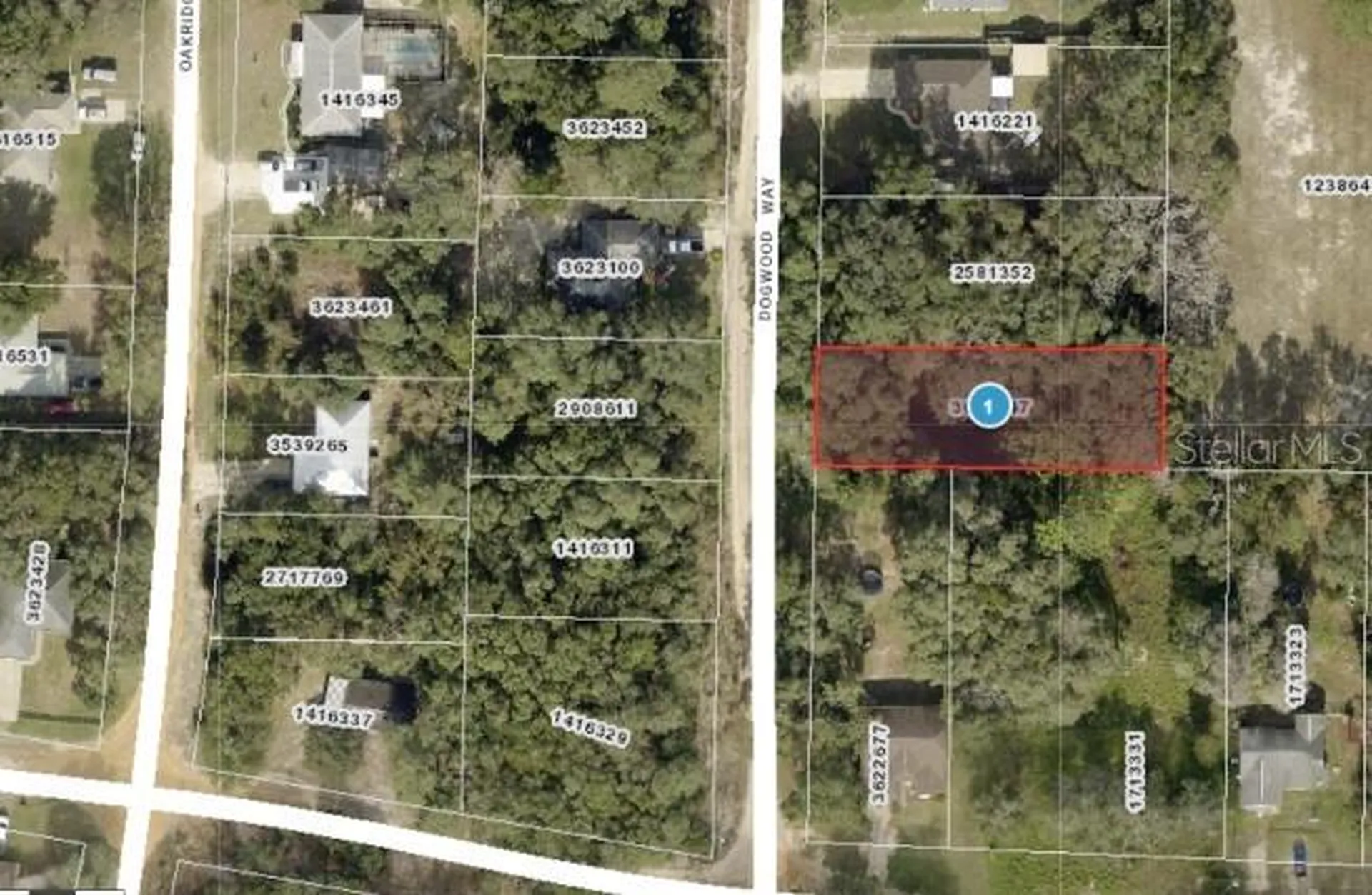 Dogwood Way Lady Lake FL 32159