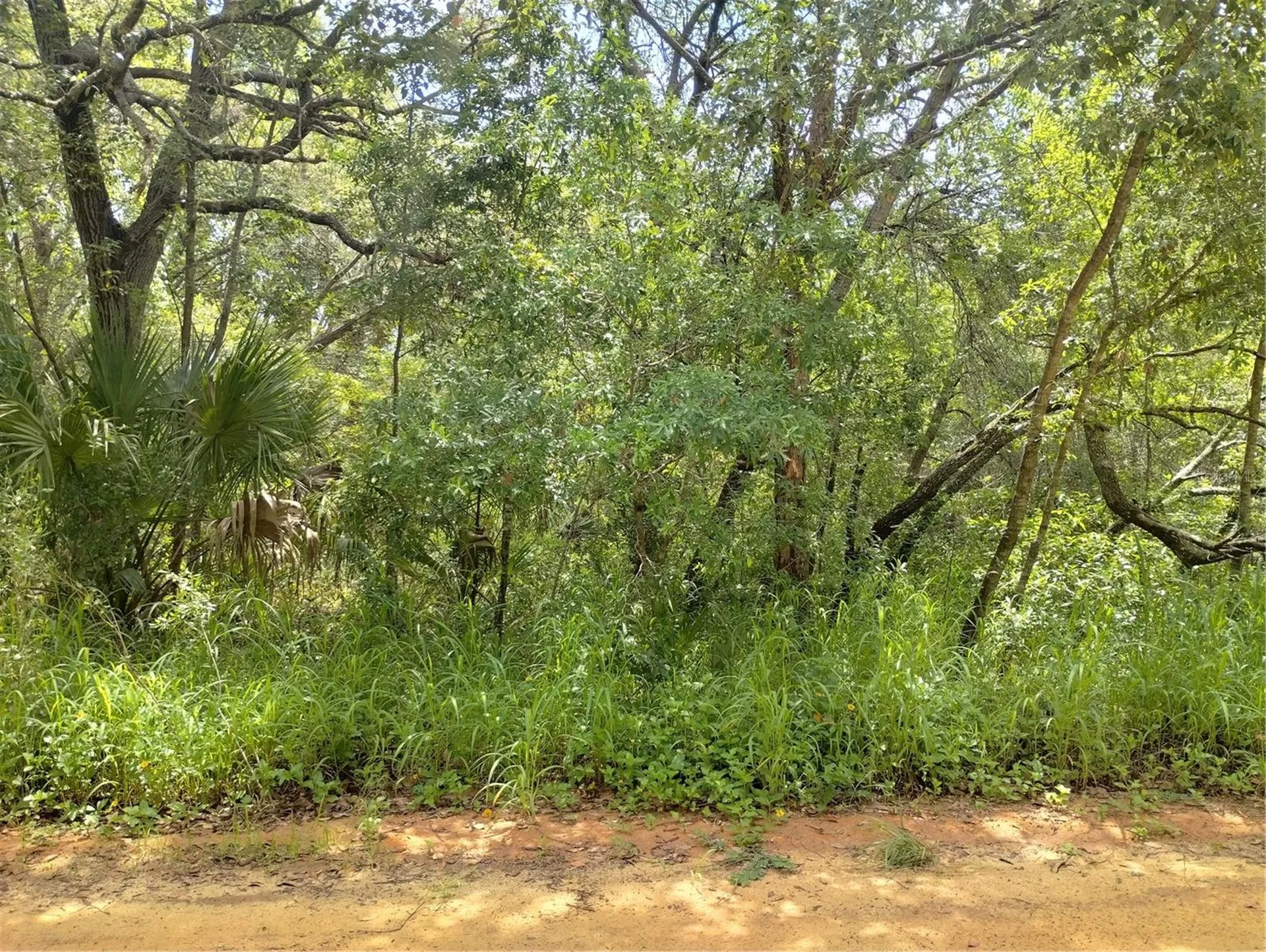 Dogwood Way Lady Lake FL 32159