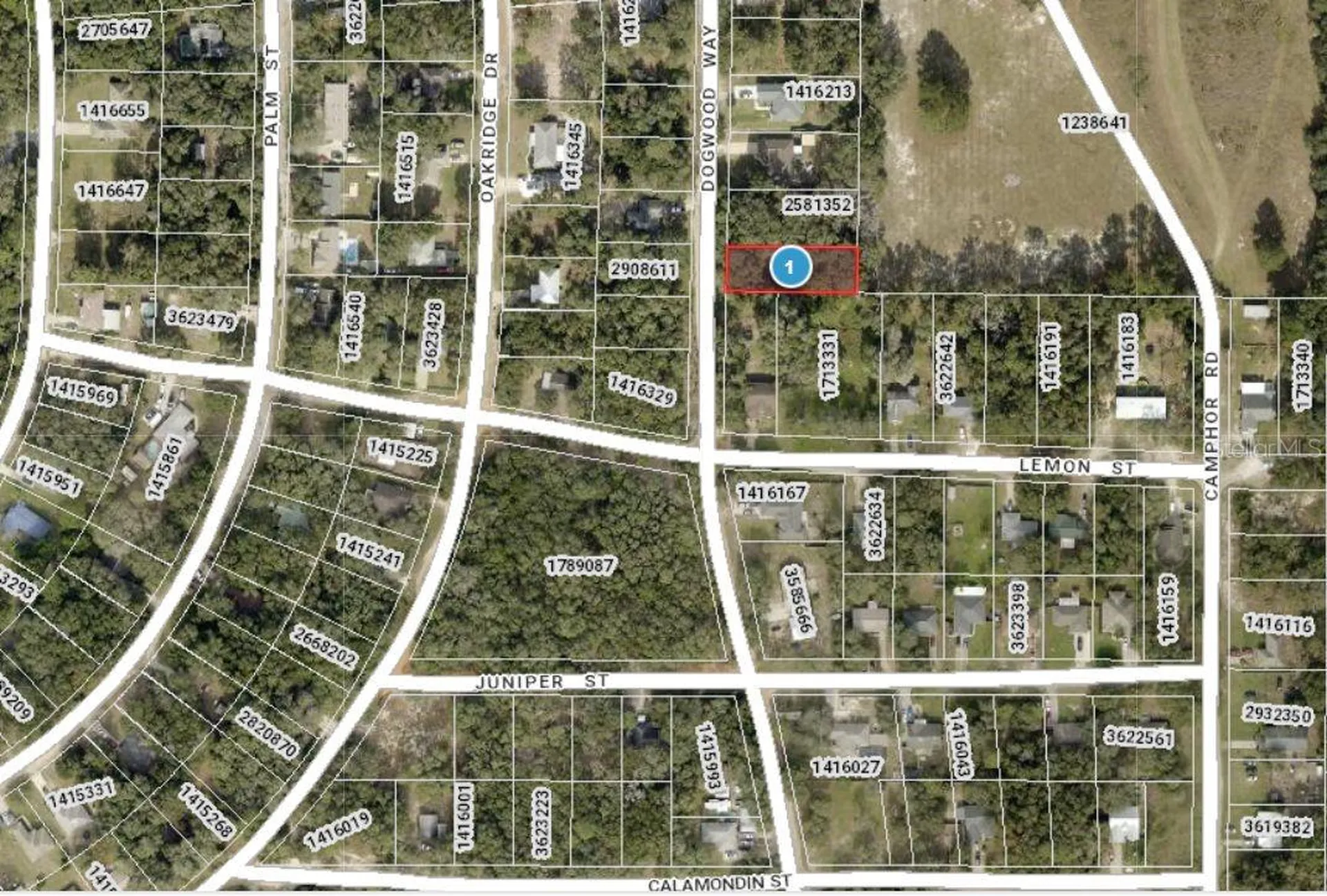 Dogwood Way Lady Lake FL 32159