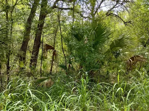 Dogwood Way Lady Lake FL 32159