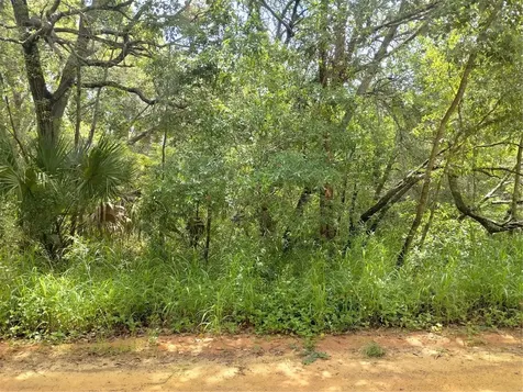 Dogwood Way Lady Lake FL 32159