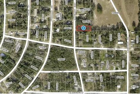 Dogwood Way Lady Lake FL 32159