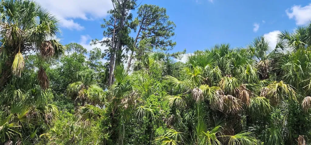 436 Hutchins Street Port Charlotte FL 33953