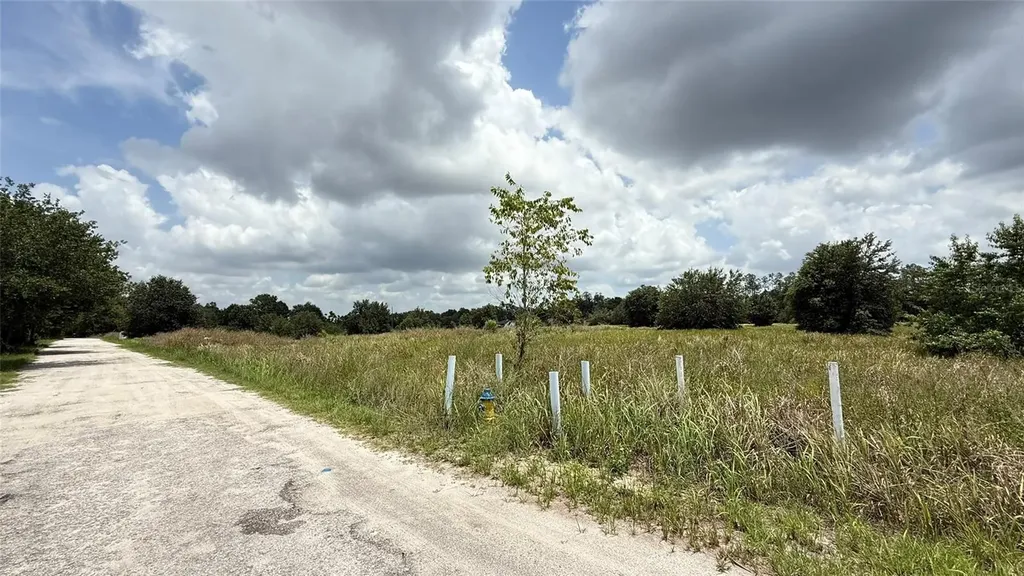 29824 Wells Roads Wesley Chapel FL 33545