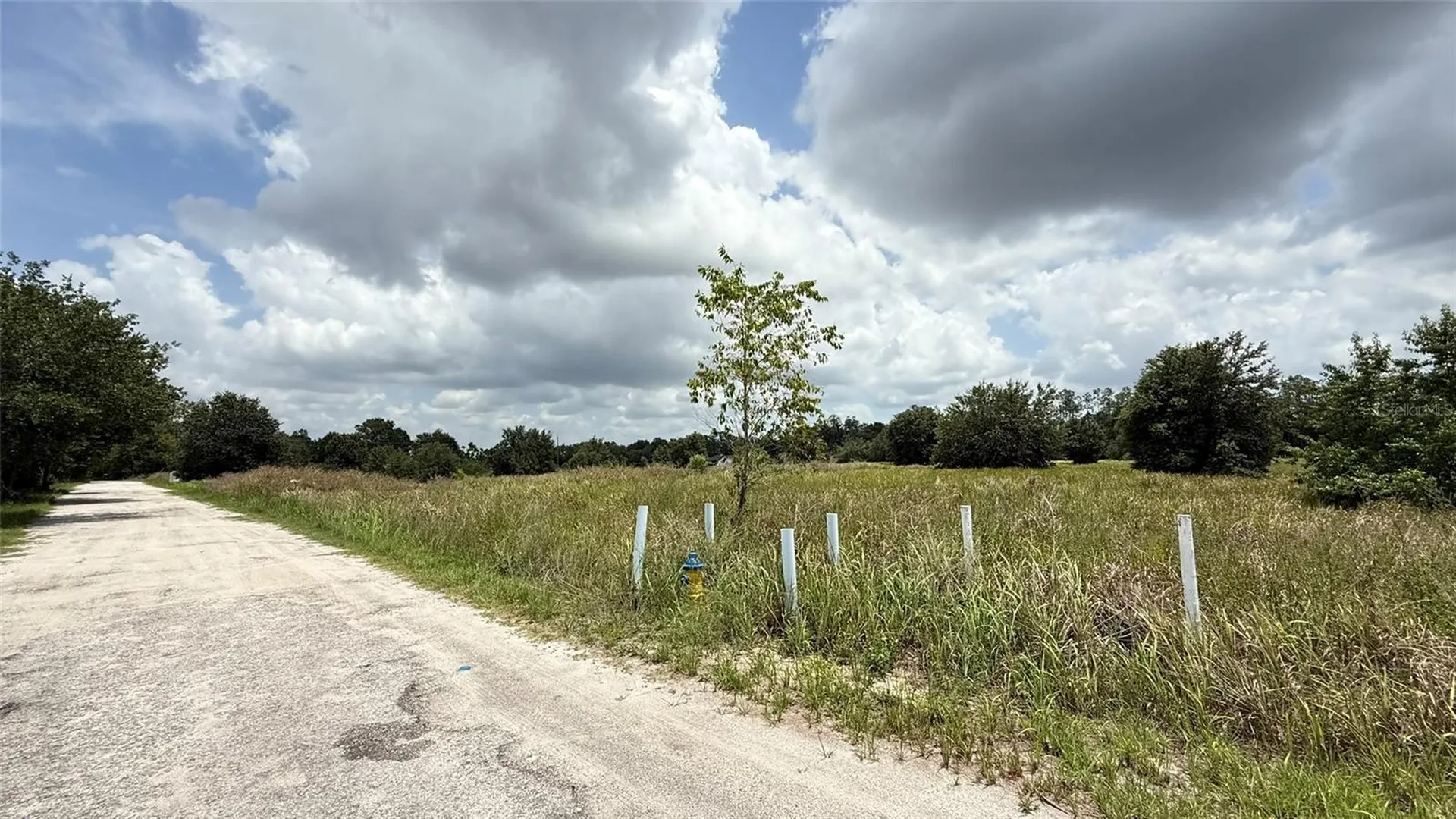 29824 Wells Roads Wesley Chapel FL 33545