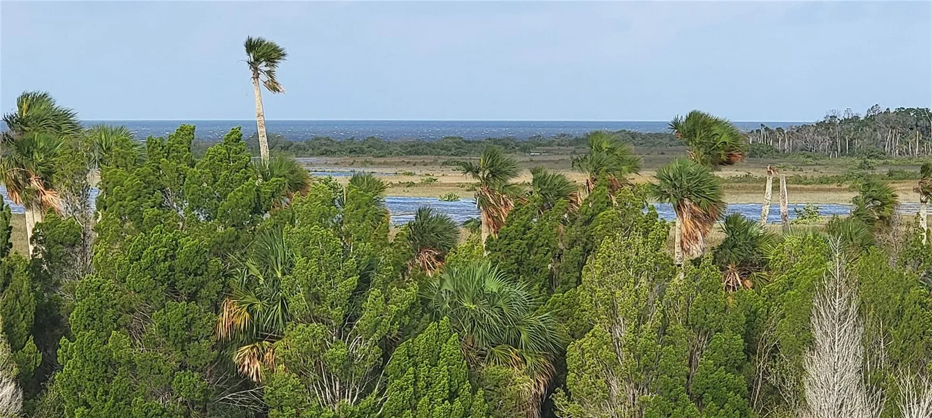 3397 Bluefish Drive Hernando Beach FL 34607