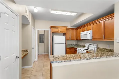1101 Vintage Village Lane Ocoee FL 34761