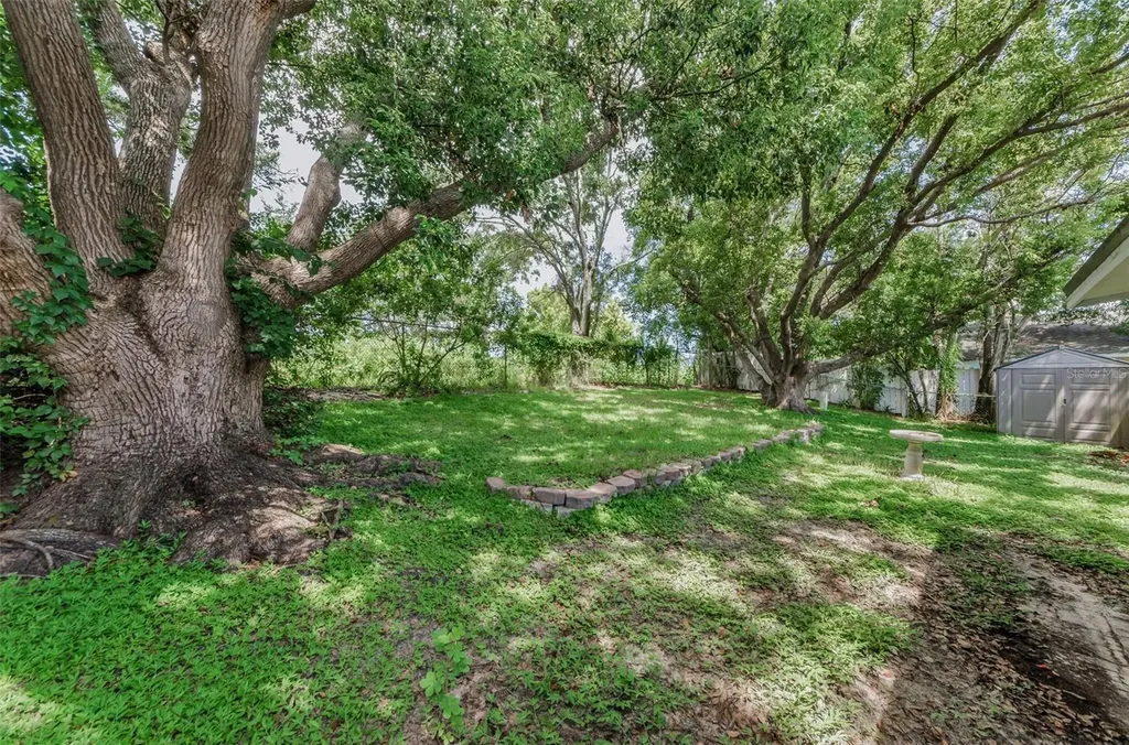 1558 Cottonwood Terrace Dunedin FL 34698