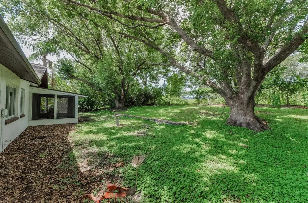 1558 Cottonwood Terrace Dunedin FL 34698